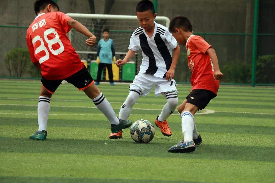 宝威体育app下载